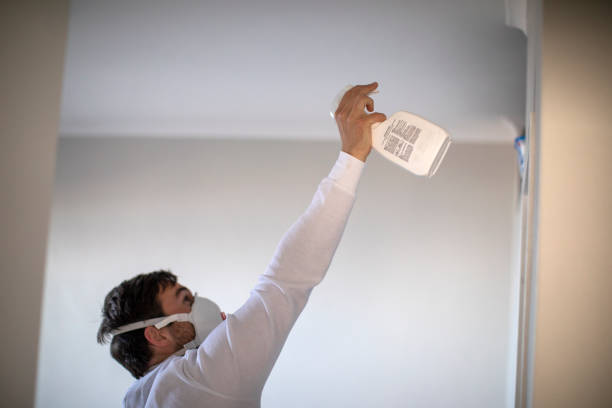 Best Residential Mold Removal  in Stuart, IA