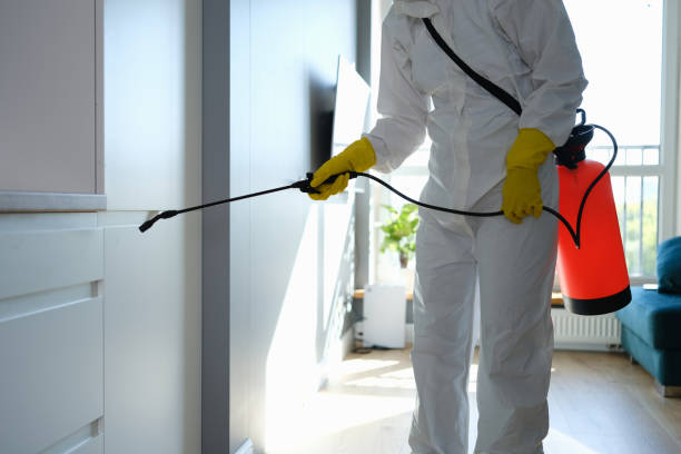 Best Residential Mold Removal  in Stuart, IA