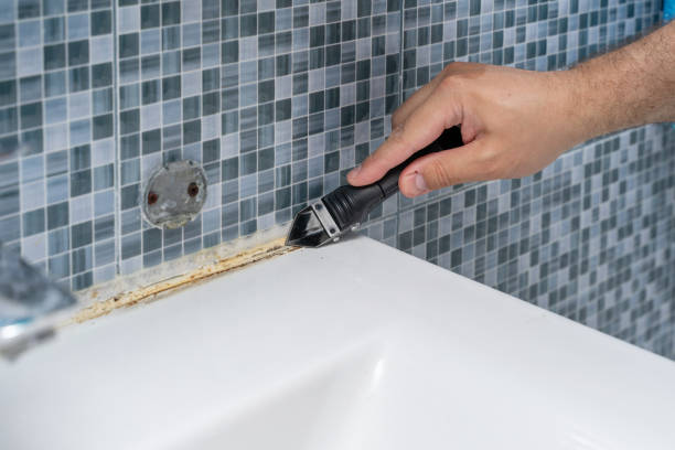 Best Commercial Mold Removal  in Stuart, IA